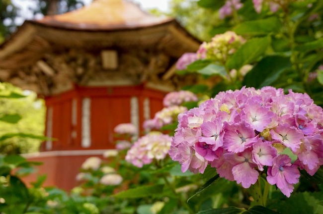 蓮華峰寺１