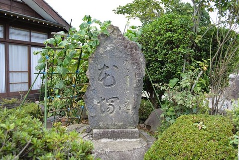 佐渡花塚1