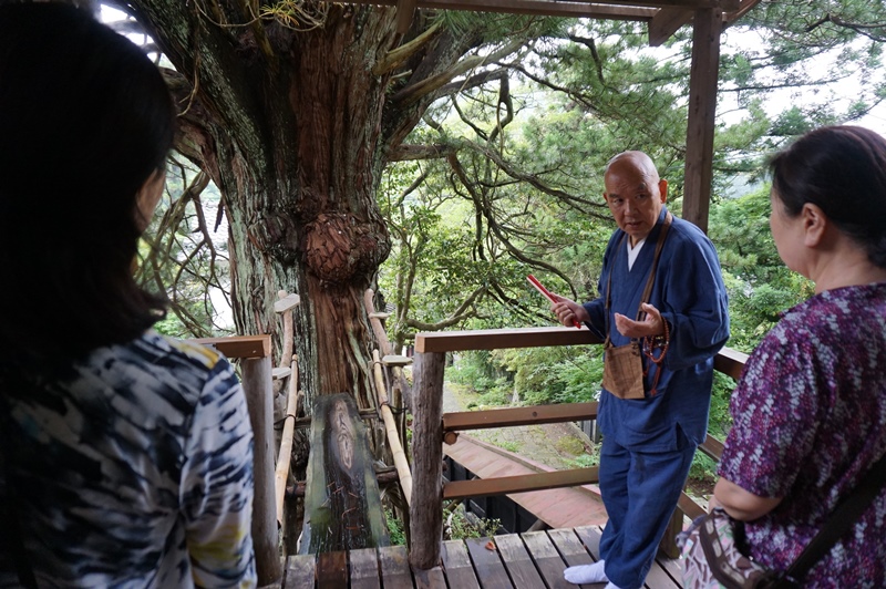お寺で体験 長谷寺 樹齢500年以上の高野槙で地蔵尊とのダブルパワーを頂く 佐渡旅 Sadotabi お寺で体験 長谷寺 樹齢500年以上の高野槙で地蔵尊とのダブルパワーを頂く 佐渡旅 Sadotabi