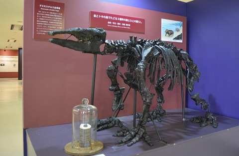 佐渡博物館恐竜模型