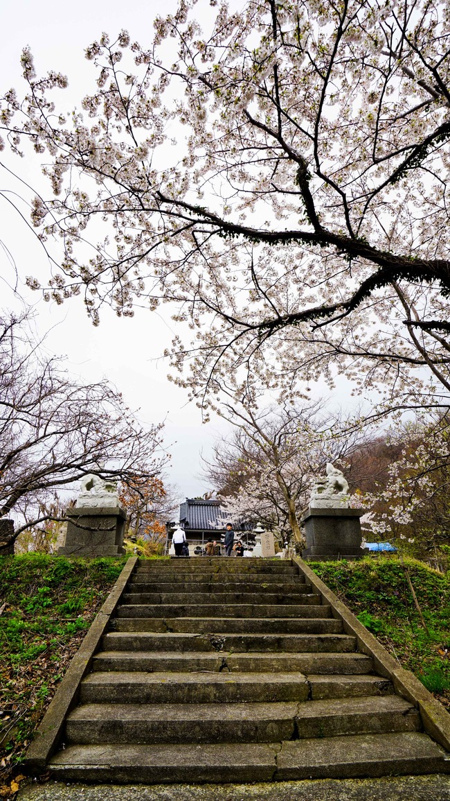 小田