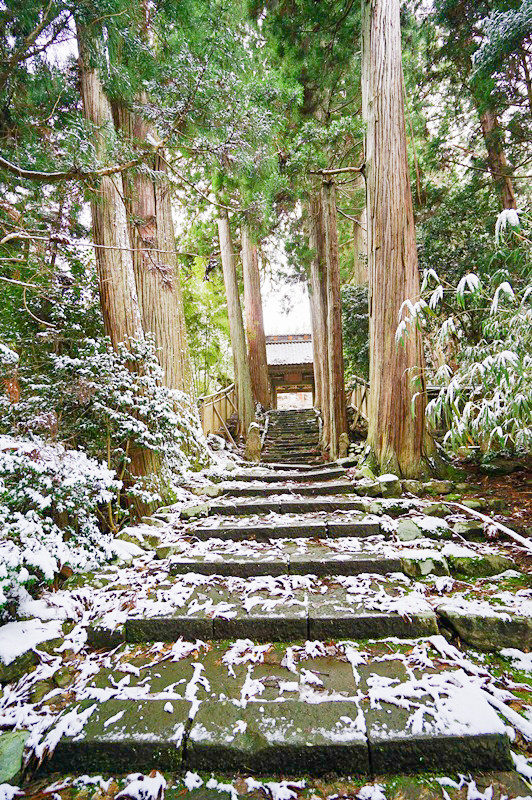 佐渡清水寺冬1
