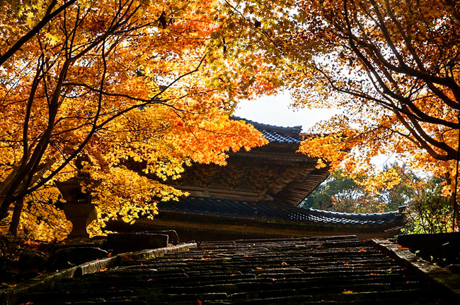 慶宮寺秋8