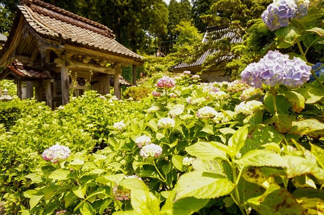 蓮華峰寺11