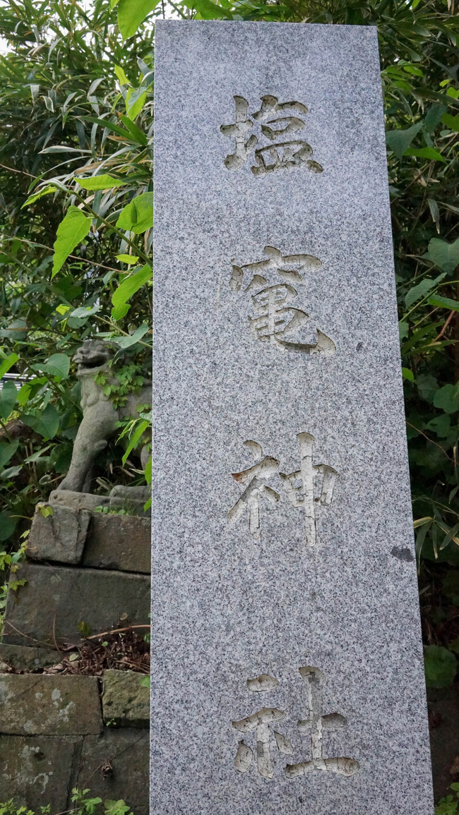 DSC07291