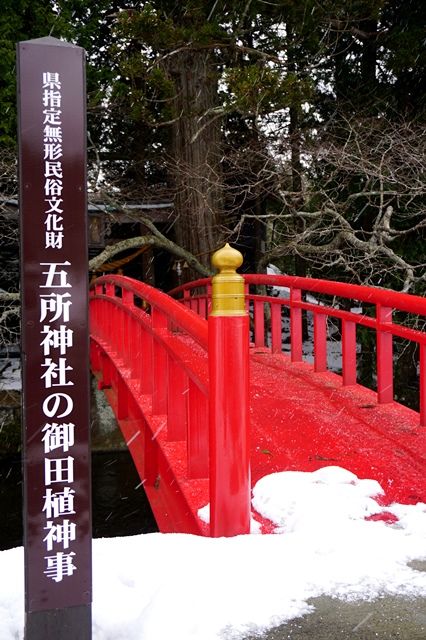 五所神社5