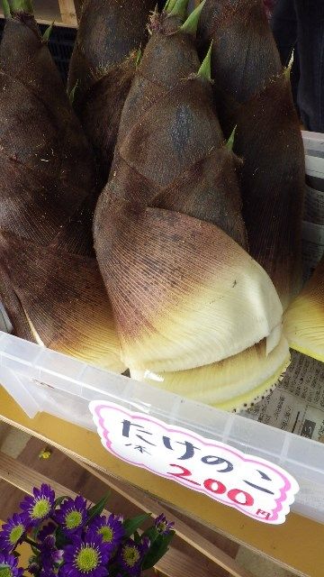 佐渡はなゆめ2