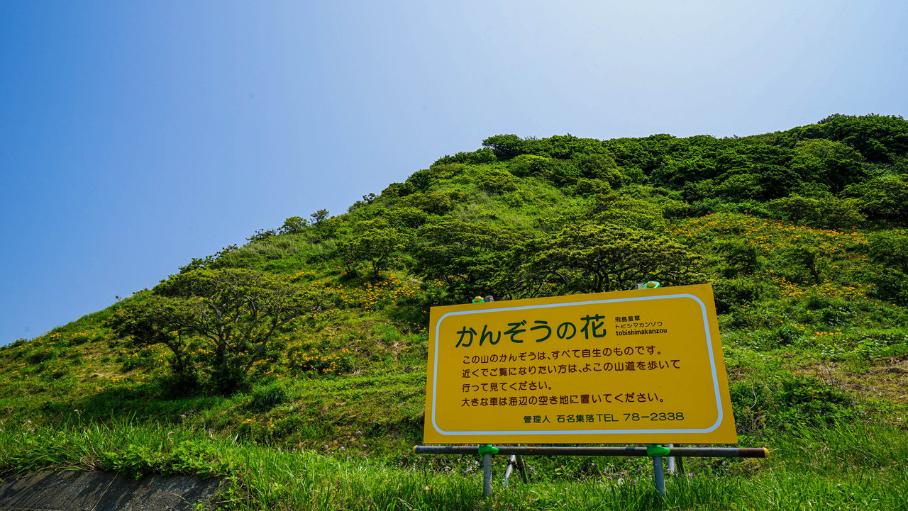 カンゾウ 昔 一面に広がったカンゾウを再現したいと立ち上げた石名のカンゾウ群生地 佐渡旅 Sadotabi