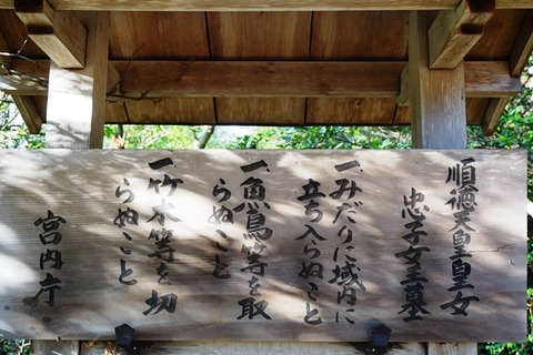佐渡二宮神社12