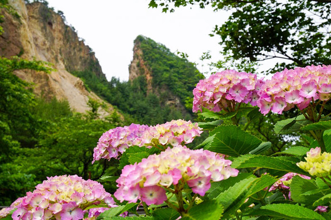 佐渡金山第五駐車場１