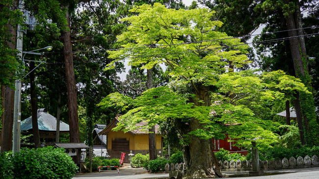 蓮華峰寺１