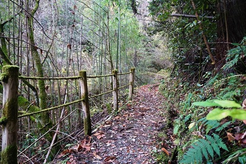 佐渡鍋倉の滝行き方3