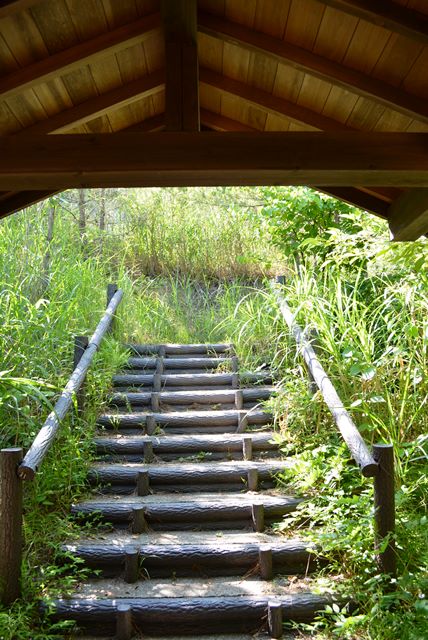 佐渡椿屋陶芸館5登り窯