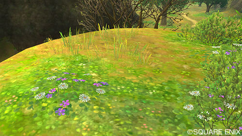 テンの日 はぐレモンからの挑戦12 お花大好き はぐレモン お宝 プレゼントボックス の場所まとめ 出現期間は21年6月14日 月 まで さっちゃんねる Dqx