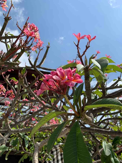 スタナ・アートはその4に！