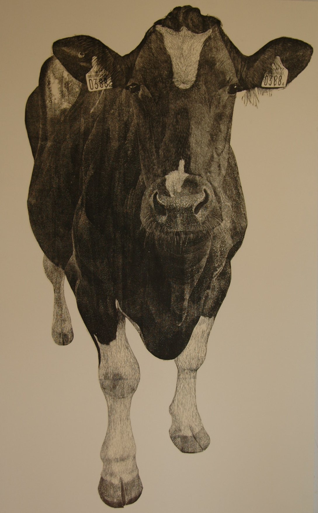 佐伯農場 佐伯農場 Livedoor Blog ブログ