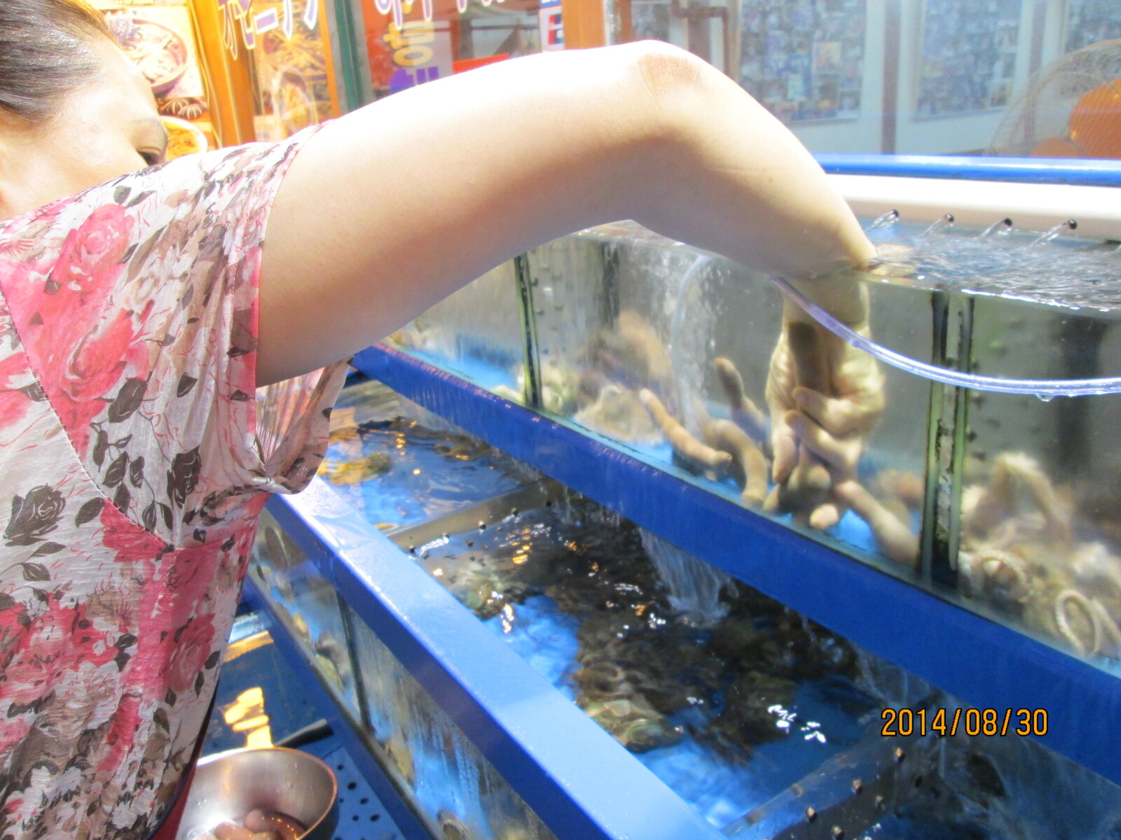 この春行くけぇ下調べ 7 珍味 ゲテモノ 韓国その2 グラッチェトラバース この春行くけぇ下調べ 7 珍味 ゲテモノ 韓国その2 グラッチェトラバース