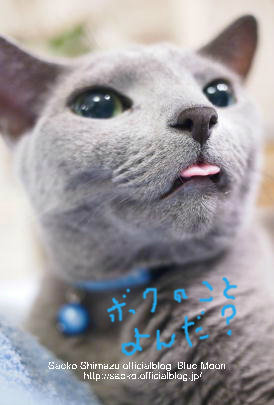 BlogPaint