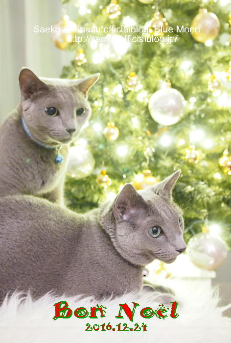 PC234318_9182 - コピー