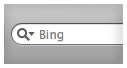 bing