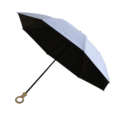 20240611Sunbrella