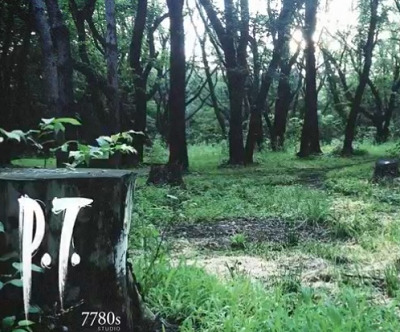 P.T.