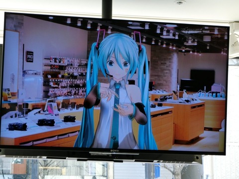 44017SonyStore3