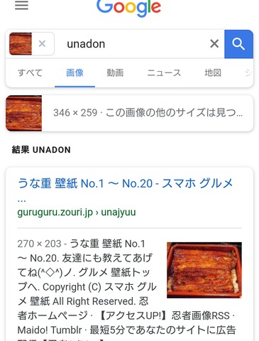 46691Jnishi2
