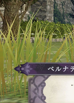 50805FEgra