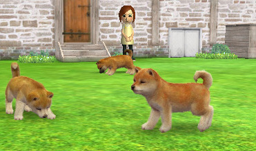 51138Nintenpicks