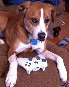 25215XboxWan0