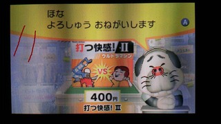 25752Darumesi11