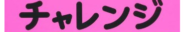 50070NintenSSN