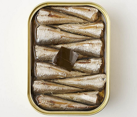 20201004Sardine