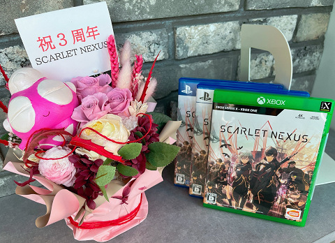 62950ScaScarletXboxers