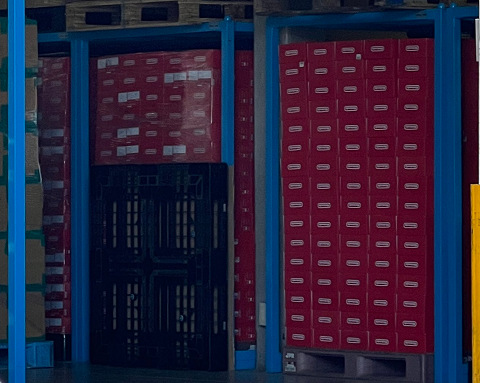 65063NintenbyeSwitchII