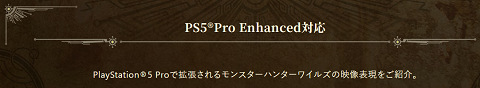 64285MHWildsPro
