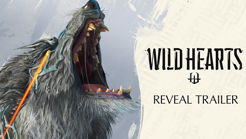 59299WildHearts