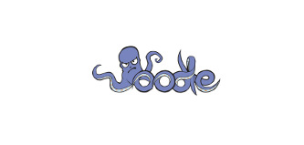 53894Oodle
