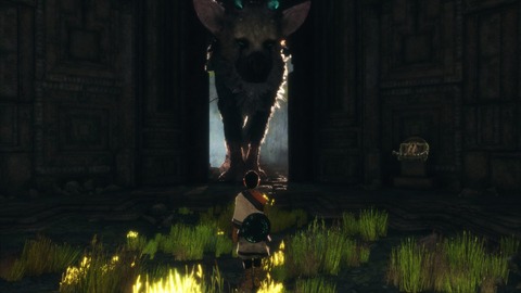 42640Trico2