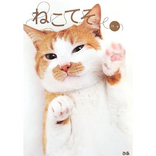 ねこてそ [単行本]