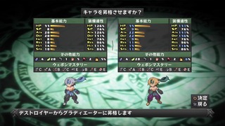 24206DisgaeaDD11