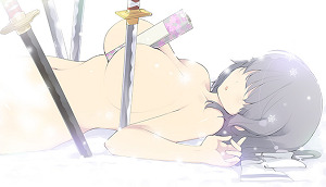 閃乱カグラ SHINOVI VERSUS -少女達の証明- にゅうにゅうDXパック