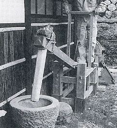 24582Bara0