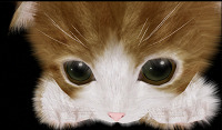 22887AabsAnimals0