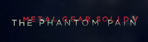 24493MGSVTPP0