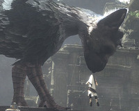 22652TLG0