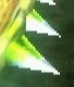 23216YousoTUW0