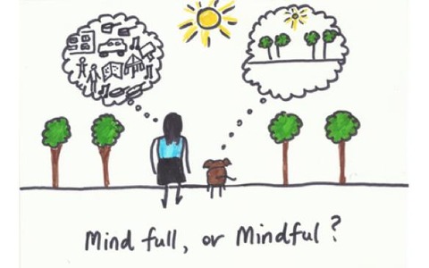 mindfull