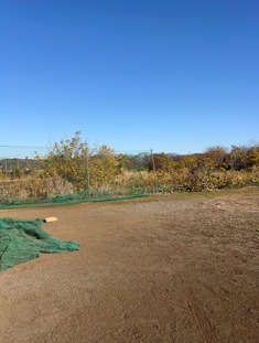 LINE_ALBUM_251130棚沢Ｇ_251209_7